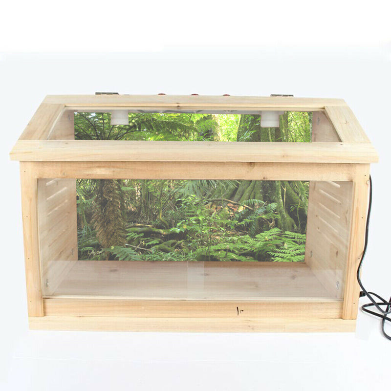 Aquarium   Tank Background Poster Rainforest Landscape Decor 60x100cm