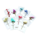 Dried Flowers Greeting Cards-Blank Note Cards Birthday Note Thank You Cards X1A2