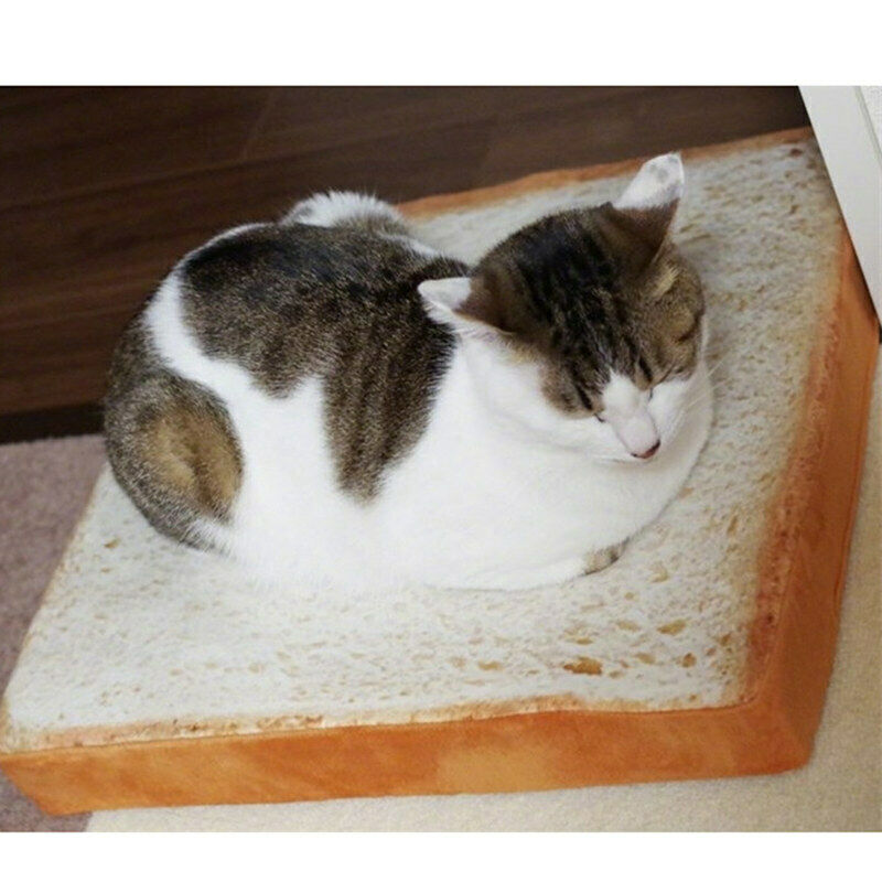 Creative Toast Bread Shape Pet Mat Cushion Sponge Soft Comfortable Pet Dog  A6M5