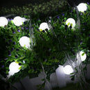 5M LED String Globe Star Fairy Light for Wedding Christmas (White)