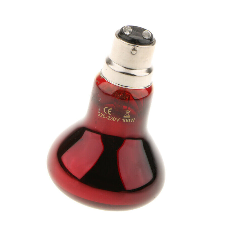 B22 220V UVA Reptile Bulb, Nightlight Infrared Heater for Pet Coop Heater