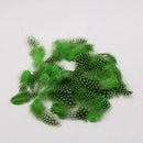50 pcs Feather of cock Applique Sewing Decor Garment Hat DIY Jewelry 5-10 c P5O2