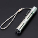 In Portable Creative And Funny Pet Cat Toys Led Pointer Light Pen With Brig