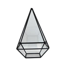Clear Glass Geometric Terrarium Box Tabletop Succulent Plant Fern Planter