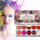 POPFEEL10 Farben Matte Blush Palette V2H2 U5P2