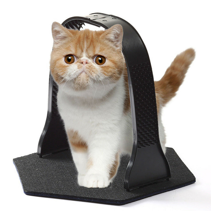 Pet Kitty Cat Black Massager Brush Prevent Hairballs Control Shedding