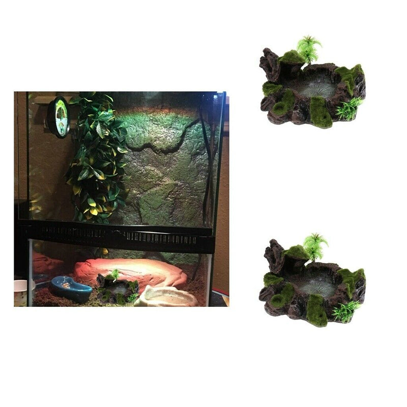 2pcs/set Plant Moss Decor Reptile Feeding Bowl Tortoise Gecko Lizard Water Dish
