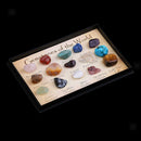 15 Gemstones of the World Minerals Specimen in Display Case Home Decor Gift