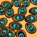 20pcs Peacock Eye Embroidered Cloth Iron On Patch Sew Motif Applique