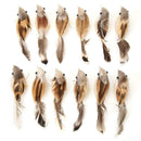 12pcs Artificial Bird Simulation Color Feather DIY Craft Wedding Home Decor