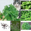 50 Pcs Mint AU HOT F4V5