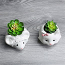 Cute Cat Pattern Ceramic Flower Pot  Succulents Cactus Plants Mini Pot Planter%x