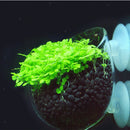 2pcs Crystal Glass Planter Aquarium Tank Aquatic Plant Cup Pot Home Decor