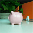 Ceramic Keepsake Piggy Bank, Pink R5G9