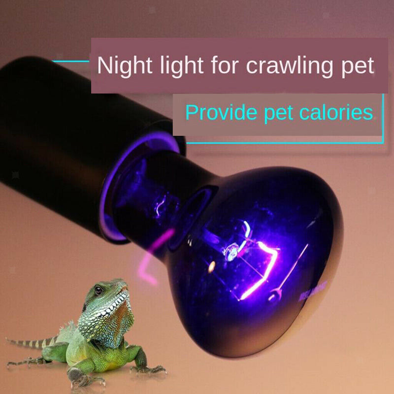 Pet Supply Reptile Lamp 220V Reptile Heater Blub 75W Far Infrared 200W
