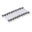 10 Pcs Microwave Ceramic Fuse Electric 20A 250V Home Supplies DIY 6x30mm ME
