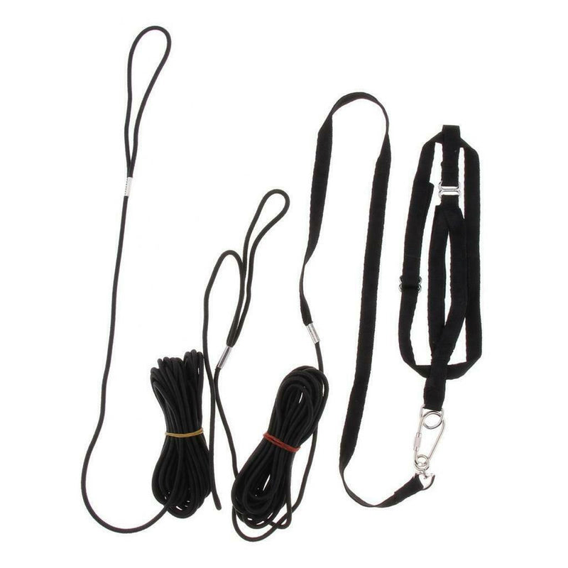 Set Of 2 Birds Leash Parrot Traction Rope For Medium Large Birds