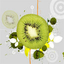 20x20cm Canvas Decorative Wall Art Painting Picture Fruits Print No Framed