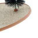 Gentle Fur Brushing for Cat Kitten Playing And Scratching