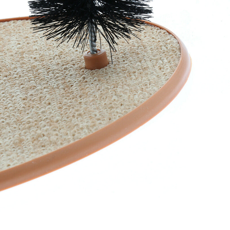 Gentle Fur Brushing for Cat Kitten Playing And Scratching