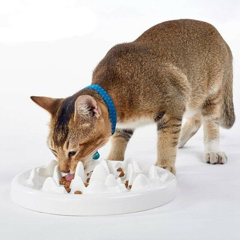 Slow Feeder Bowl, Ceramic Fun Interactive Feeder Bloat Stop Cat Bowl Preven