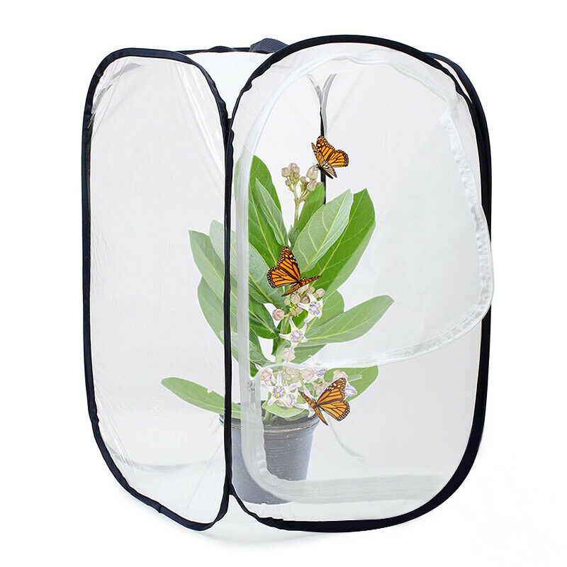 Insect and Butterfly Habitat Cage Terrarium Pop-up 23.6 Inches Tall (White  S5A1