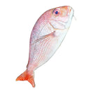 Fish shaped pencil bag pencil case box fish school pen case originality Sch