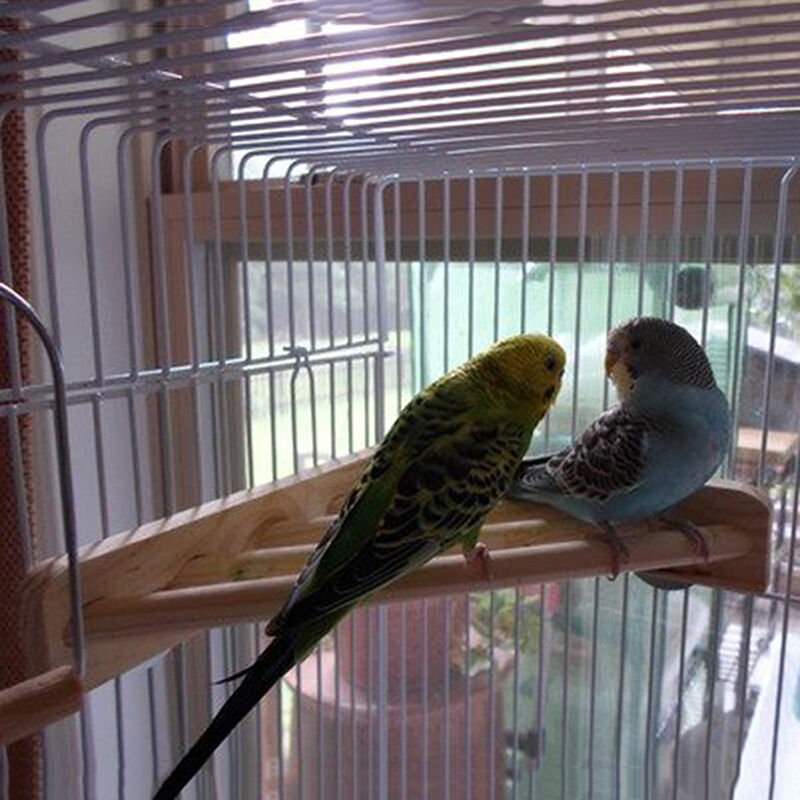 7'' Pet Parrot Supply Wood Corner Shelf Laddered Platform C For Birds Stand E3I4