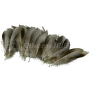 50pcs Mallard Wild Duck Natural Feather for DIY Jewelry Decor Crafts 8-12cm