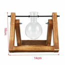Wooden Stand Transparent Glass Plant Containers Standing Hydroponics Plant