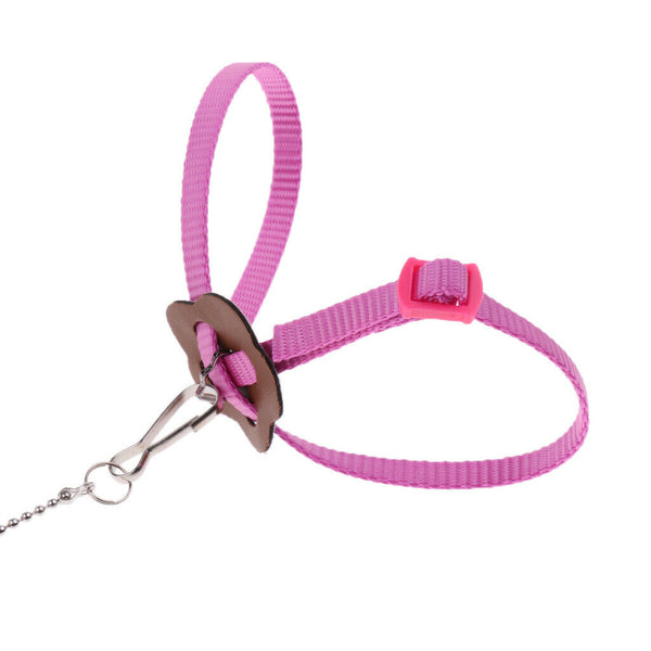 Reusable Parrot Clothe Diaper Bird Parrot Traction Leash Great Love to Parrot