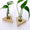 2pcs Crystal Glass Test Tube Holder in Wooden Stand Vase for Hydroponic Plants