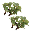 2x Reptile Plants Terrarium Lifelike Plants For Lizards Habitat Decoration