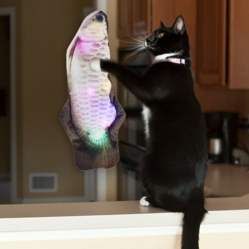 Simulation Moving Fish Electric Cat Chew Bite Toys USB (F Sliver Arowana) A