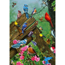 5D DIY Full Drill Square Diamond Painting Animals Cross Stitch Kit (JF015)