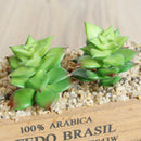 Mini Simulation Succulents Artificial Plants for Home Office Garden Decor
