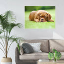 5D DIY Full Round Drill Diamond Painting Upset Dog Cross Stitch Embroidery