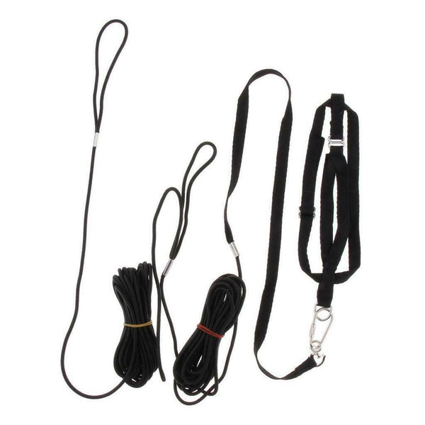 Set Of 3 8 Meters Bird Leash Anti-Bite Rope Flying Harness For Parrot Budgerigar