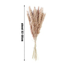 15Pcs Natural Dried Pampas Grass Reed Flower Bunch Wedding Bouquet Home Decors
