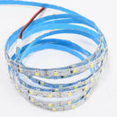 12 V S Shape LED Strip Light 2835 Flexible LED Light for Wall Decoration