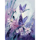 Painting By Numbers Kit DIY Canvas Oil Art Picture (Happy Butterfly Couple)