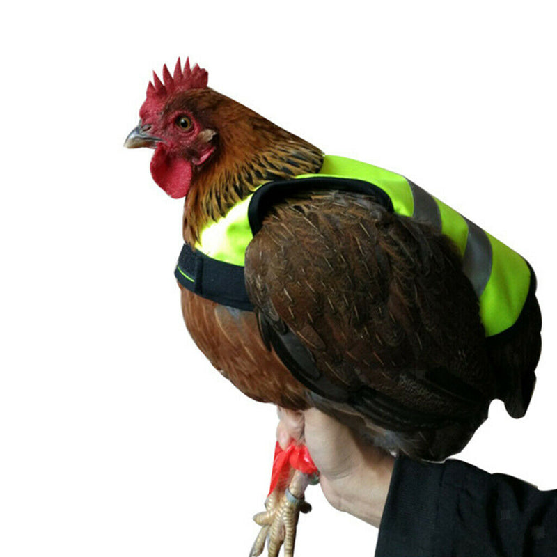 2x Pet Reflective Vest Chicken Poultry
