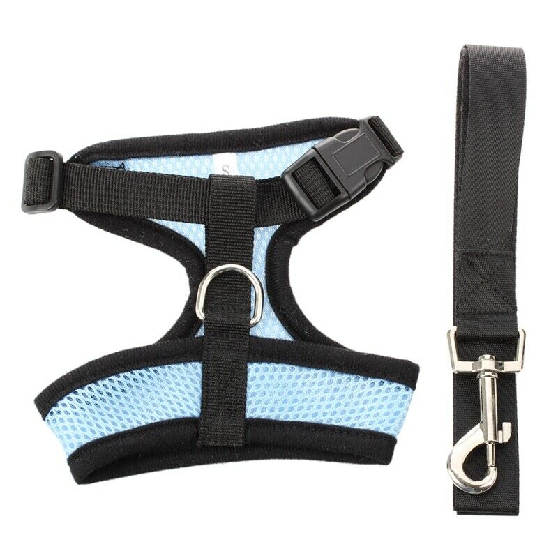 Harness vest Leash S Light blue for cats dogs animals Pet