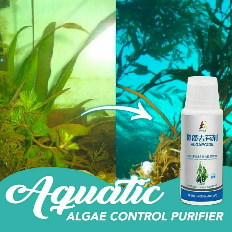 Aquatic Algae Control Purifier Desiccant Algaecide Odor Purify Water Fish R B2R1
