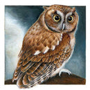 Gloryart 5D DIY Full Drill Diamond Painting Owl Embroidery Crafts (lw014)