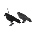 1 Set Lifelike Crow Decoy Garden Plastic Bird Crow Scarer Black Scare Crow