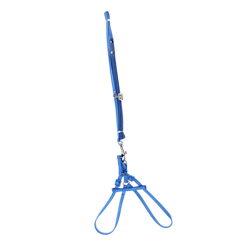 Adjustable Reptile Lizard Bird Ferret Harness Leash Lead Rope Light Soft L