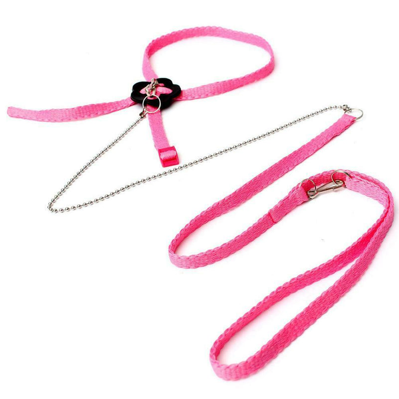 Bird Parrot Adjustable Harness & Leash Anti-bite Multicolor Light Soft