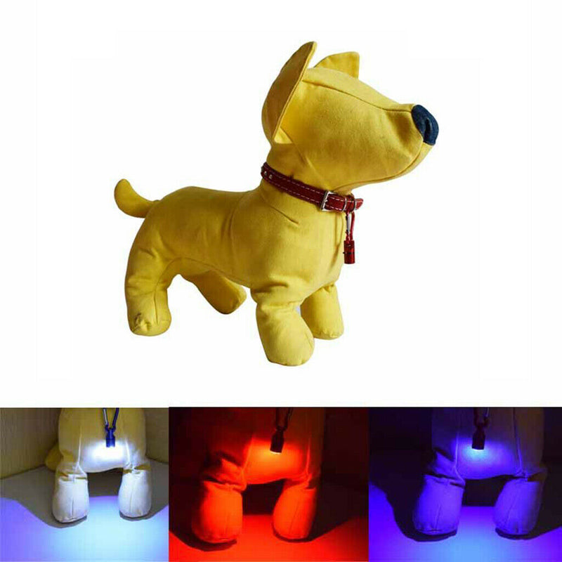 2 pcs Fascinating Pet Dog Collar LED Safety Night Light Pendant Blue