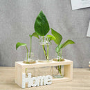 Small Fresh Transparent Glass Vase Hydroponic Green Plant Container Living  G9O7